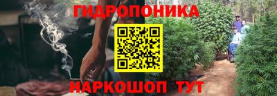 ECSTASY Будённовск
