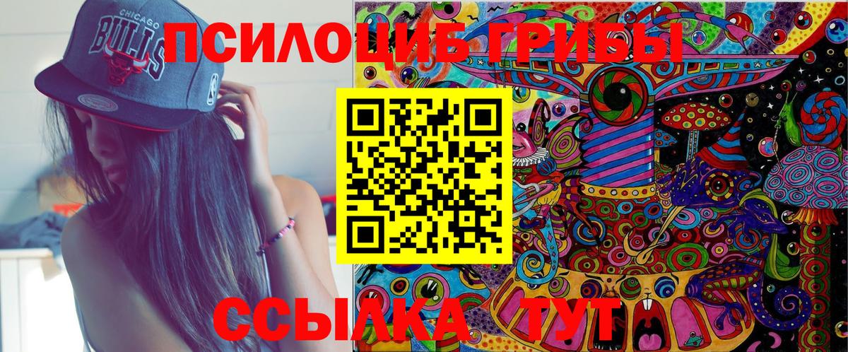 Псилоцибиновые грибы GOLDEN TEACHER Лесной