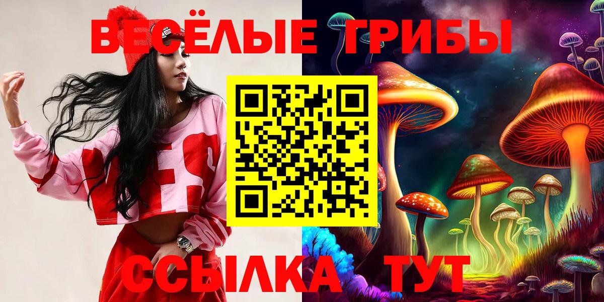 Лесной  Псилоцибиновые грибы Psilocybine cubensis  Вход с VPN 